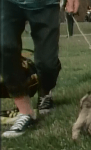 yick yu degrassi junior high